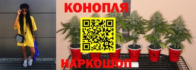 a pvp Гусев