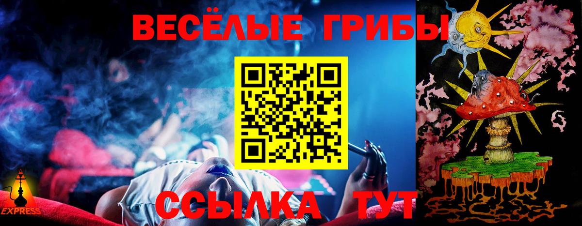 Псилоцибиновые грибы Psilocybe Клин